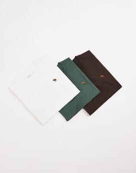 Abercrombie & Fitch Abercrombie & Fitch 3 pack icon logo t-shirts in white, green and brown-Multi