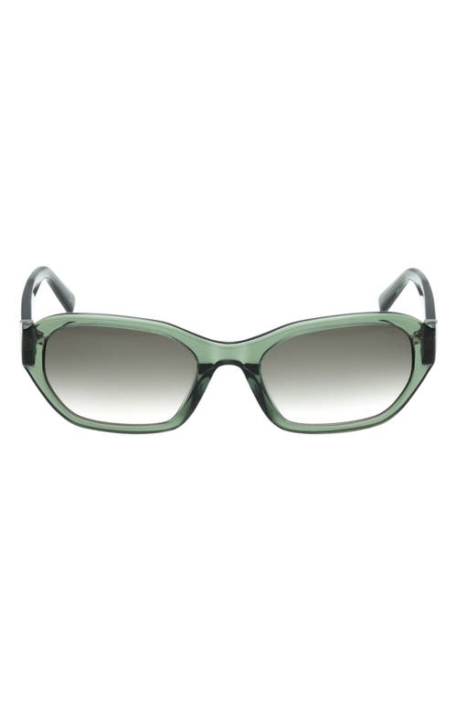 ABERCROMBIE & FITCH ABERCROMBIE & FITCH 52mm Oval Sunglasses