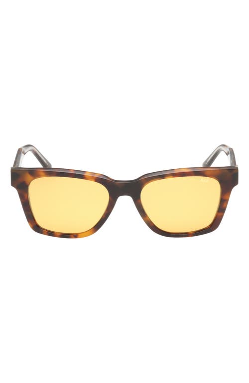 ABERCROMBIE & FITCH ABERCROMBIE & FITCH 52mm Square Sunglasses