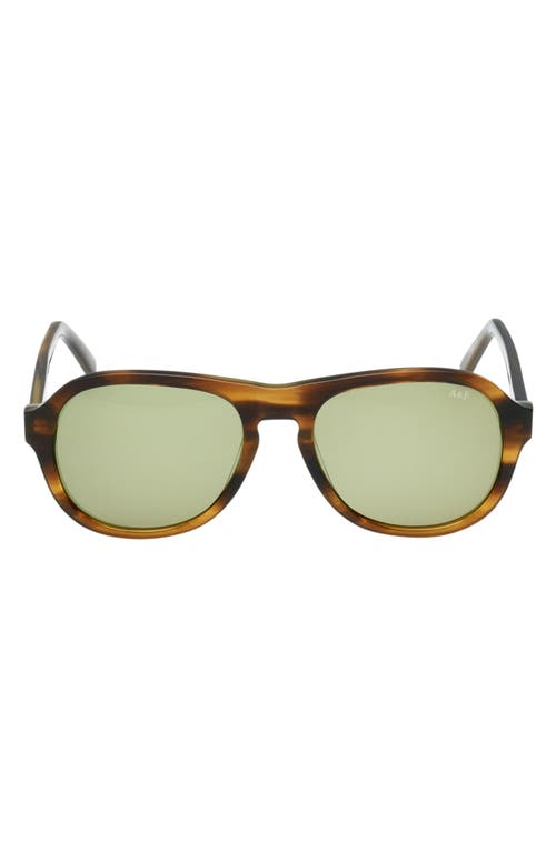 ABERCROMBIE & FITCH ABERCROMBIE & FITCH 55mm Oval Sunglasses