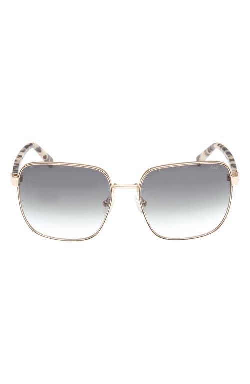 ABERCROMBIE & FITCH ABERCROMBIE & FITCH 58mm Square Sunglasses