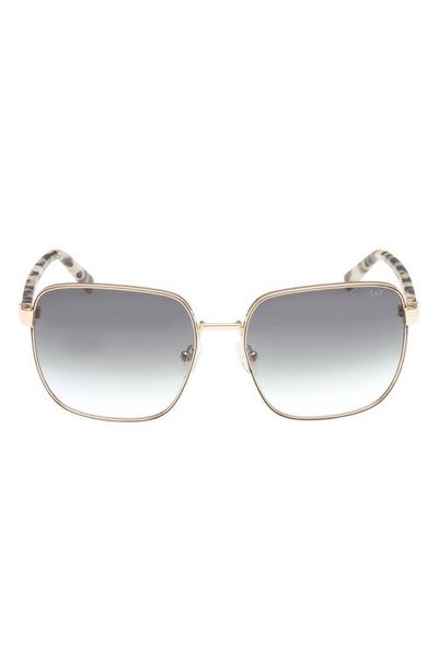 ABERCROMBIE & FITCH ABERCROMBIE & FITCH 58mm Square Sunglasses