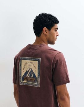 Abercrombie & Fitch Abercrombie & Fitch mountain back graphic heavyweight t-shirt in washed red