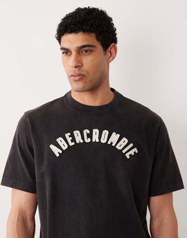 Abercrombie & Fitch Abercrombie & Fitch patch logo t-shirt in washed black