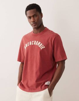 Abercrombie & Fitch Abercrombie & Fitch patch logo T-shirt in washed red-Gray