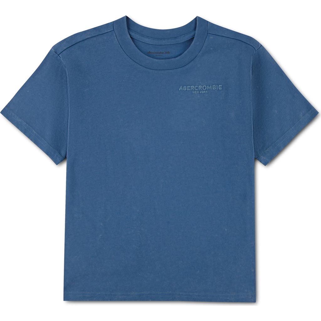 abercrombie kids abercrombie kids Kids' Sunfaded Logo T-Shirt