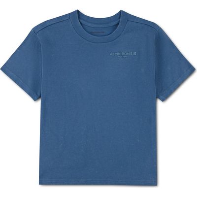 abercrombie kids abercrombie kids Kids' Sunfaded Logo T-Shirt