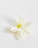 Accessorize Accessorize Aloha flower hair clip in cream-White - 1