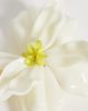 Accessorize Accessorize Aloha flower hair clip in cream-White - 3