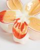 Accessorize Accessorize tropical lily flower claw clip in orange - 2