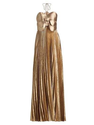 Acler Women's Forever Young Pullford Metallic Pleated Gown