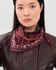Acne Studios Acne Studios Volta Triangle Check Scarf Burgandy One - 4