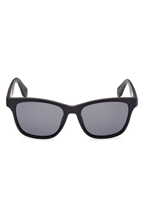 adidas adidas 54mm Navigator Sunglasses