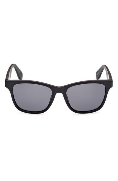 adidas adidas 54mm Navigator Sunglasses
