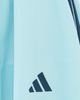 adidas adidas House of Tiro Skirt Icy Blue/Night Navy/Hazy Beige - 6
