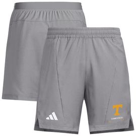 adidas Men's adidas Gray Tennessee Volunteers D4T Shorts 