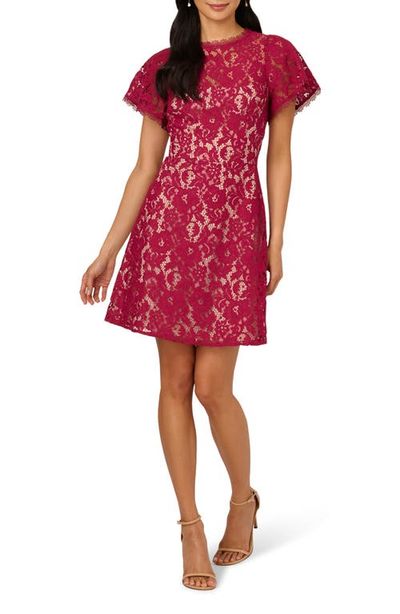 knee length dresses for ladies Adrianna Papell Navy Blue Cap Sleeve Lace Dress, 6 – Second Serve Resale main image 1