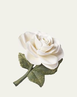 AERIN Porcelain Rose, Cream