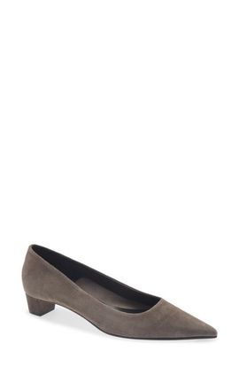 aeyde aeyde Judi Pointed Toe Pump