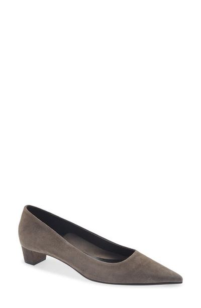 aeyde aeyde Judi Pointed Toe Pump