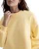 Ag Ag Roselle Crewneck Cropped Sweatshirt - 3