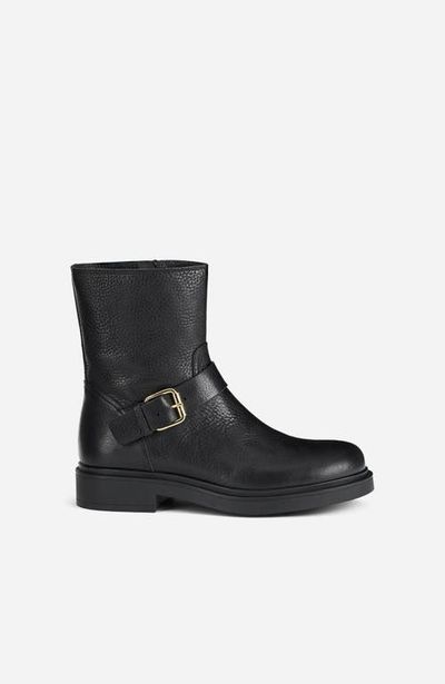 AGL AGL Loren Bikers Ankle Boot with Buckle