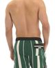 Agua Bendita Agua Bendita Dan Varsity Swim Trunks - 2