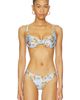 Agua by Agua Bendita Agua by Agua Bendita Hacienda Bikini Top - 1