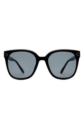 AIRE AIRE Elementa 62mm Oversize Round Sunglasses