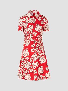Akris punto Women's Paper-Cut Flower Print Cotton Mini Shirtdress