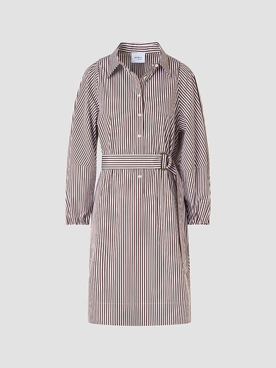 Akris punto Women's Striped Cotton Belted Shirtdress