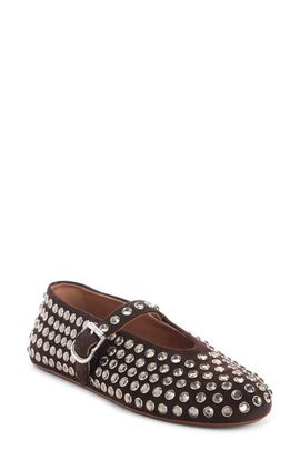 Alaïa Alaïa Crystal Mary Jane Ballet Flat
