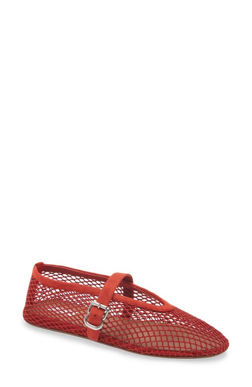 Alaïa Alaïa Mesh Ballet Flat