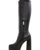ALDO ALDO Albie Knee High Boot - 4