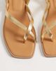 ALDO Aldo Daressi flip flop flats with ankle straps in gold - 2