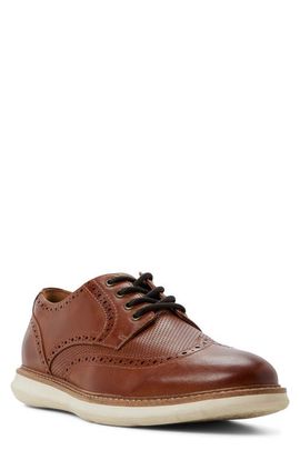 ALDO ALDO Dominik Wingtip Derby