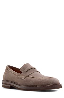 ALDO ALDO Fenson Leather Penny Loafer
