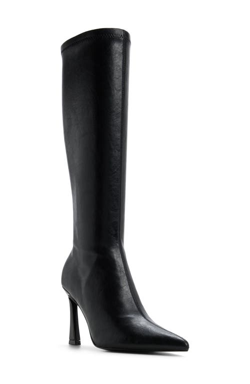ALDO ALDO Jullieta Pointed Toe Knee High Boot