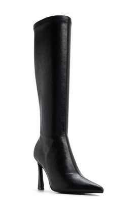 ALDO ALDO Jullieta Pointed Toe Knee High Boot