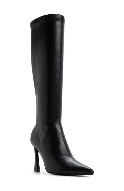 ALDO ALDO Jullieta Pointed Toe Knee High Boot