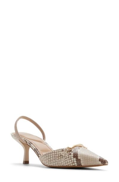 ALDO ALDO Lianya Slingback Pointed Toe Pump
