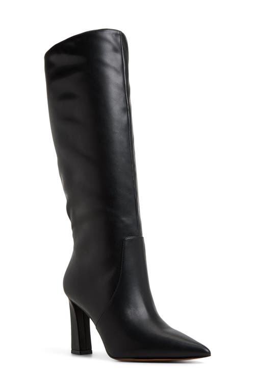 ALDO ALDO Nathalee Pointed Toe Knee High Boot