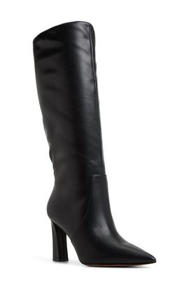 ALDO ALDO Nathalee Pointed Toe Knee High Boot