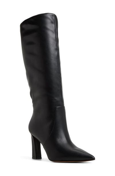 ALDO ALDO Nathalee Pointed Toe Knee High Boot