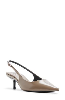 ALDO ALDO Sabbie Slingback Pointed Toe Pump