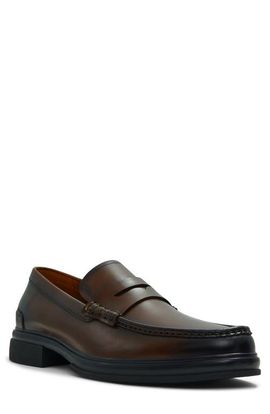 ALDO ALDO Tucker Penny Loafer