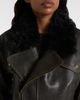 Alex Perry Alex Perry Shearling-trimmed cropped leather biker jacket - 4