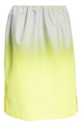 Alexander Wang Alexander Wang Gradient Reflective Skirt