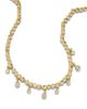 Alexis Bittar Alexis Bittar Asterales Cubic Zirconia Charm Necklace, 15.5-17.5 - 1