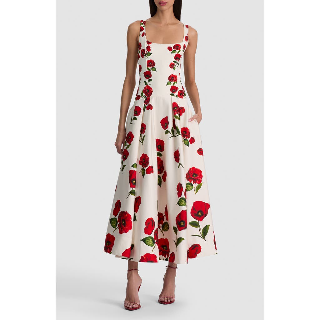 Alice + Olivia Alice + Olivia Adley Poppy Print Sleeveless Drop Waist Maxi Dress